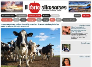 Chi siamo