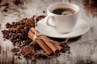 Prezzi record per il caffè ricavato dalla cacca di elefante. È il migliore del mondo