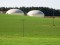 Il mais contaminato da micotossine e conservato in centinaia di silos: verrà usato come carburante per produrre biogas