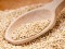 L’Onu battezza il 2013 “anno della quinoa”, uno pseudo cereale venduto anche al supermercato. Il parere di Marina Carcea dell’Inran