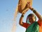 Riso: in India raccolti strepitosi senza ricorrere a sementi Ogm. Il problema è che serve più manodopera