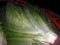 Allerta alimentare: topicida in lattuga esportata in Germania, topo in fagiolini importati in Italia e lucertola in scatola di piselli 