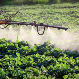 Troppi pesticidi nelle acque e anche il numero degli inquinanti è in aumento. Salvaguardati i limiti per quella del rubinetto