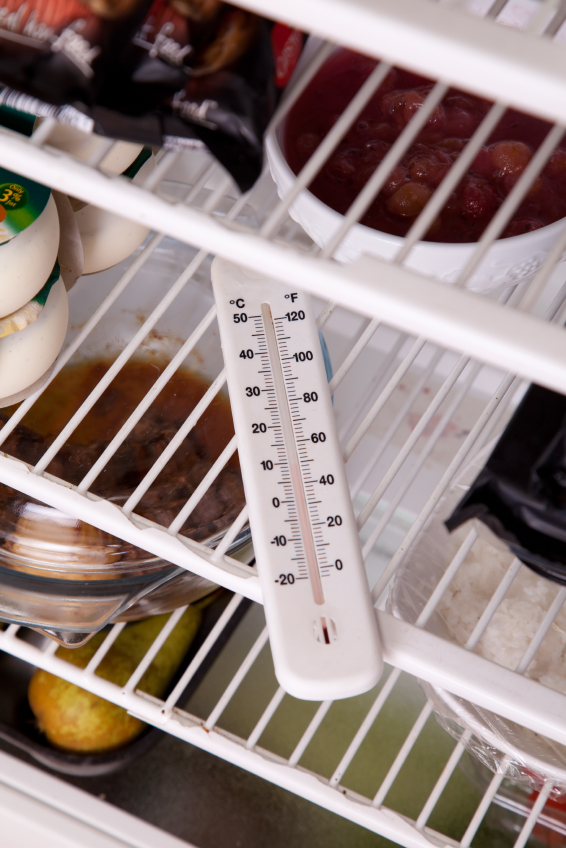 Frigorifero Congelatore Temperatura log RECORD igiene BOOK 6 mese Cucina Termometro 