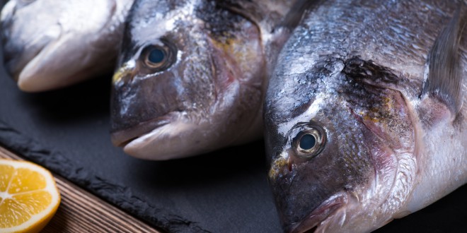 Migros e WWF insieme per vendere solo pesce “sostenibile”. La catena di supermercati svizzeri è la prima a fare questa scelta - Il Fatto Alimentare