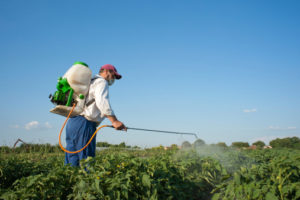 uomo pesticida campo erbicida