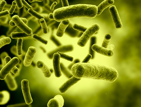 batteri infezioni alimentari