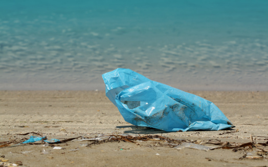 sacchetti plastica inquinamento