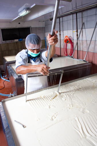 lavorazione del latte produzione di formaggio 