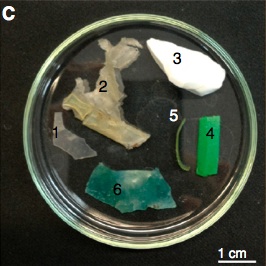 plastica sedimenti garda