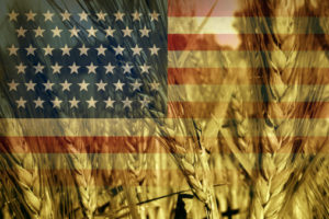 ogm america USA agricoltura 187452523