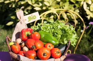 fresh bio vegetables