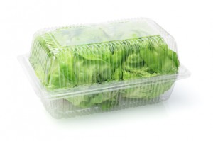 Fresh Salad Lettuce