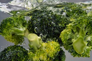 verdura broccoli iStock_000009670311_Small