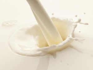 Splash of milk on a white background