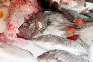 John Dory fish on market stall