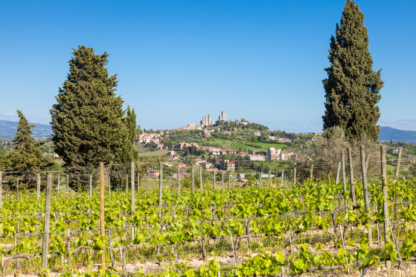 San Gimignano Vernaccia