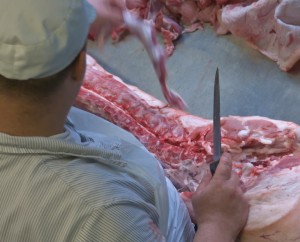 macellazione carne