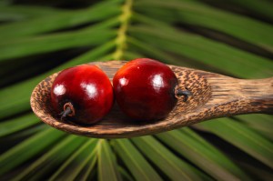 olio di palma e salute