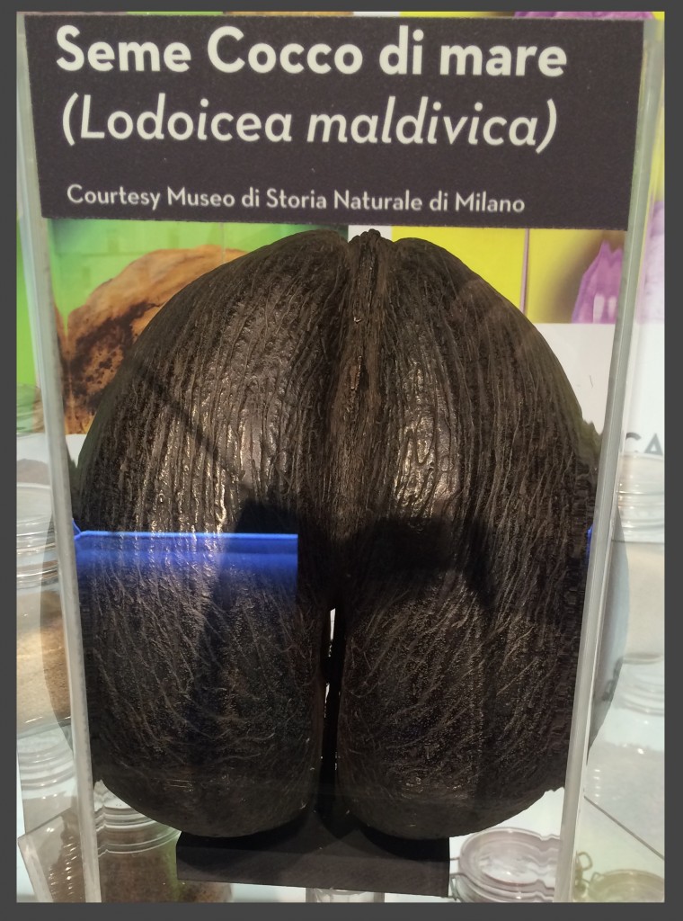 indovina che cosa febbraio 2015 2