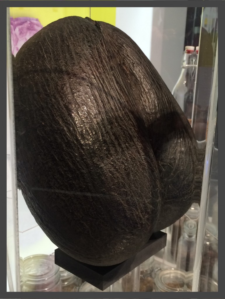 indovina che cosa febbraio 2015