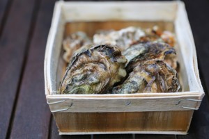 Raw oysters norovirus