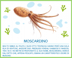 pappa fish moscardino