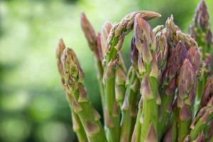 asparagi verdura iStock_000013125027_Small pesticidi