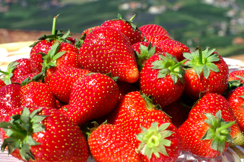 interferenti endocrini