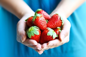 fragole frutta iStock_000013271393_Small