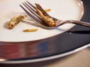 A plate and fork with edible insects