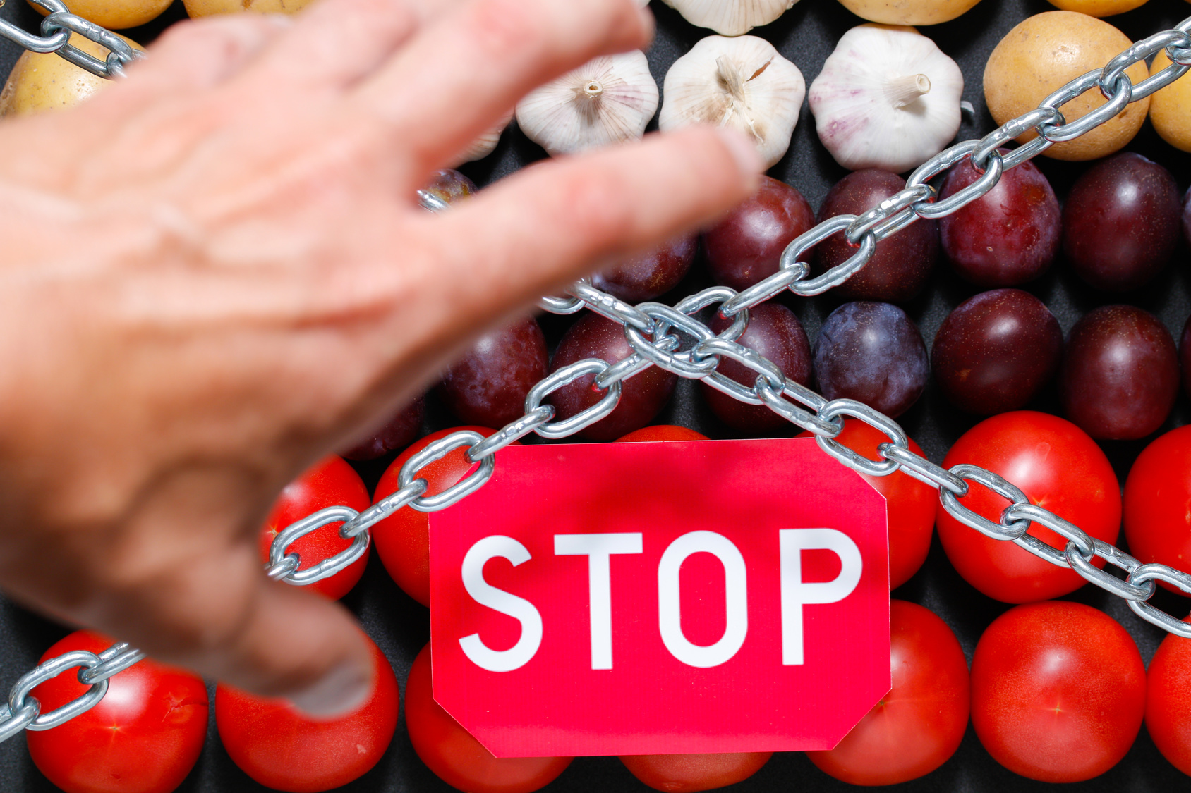Chain, a 'stop' sign and a grabbing hand on a vegetables background, in context of sanctions and extermination of food in Russia