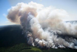 The View of wildfire on height of the flight of the bird. Indonesia