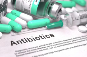 antibiotici negli allevamenti