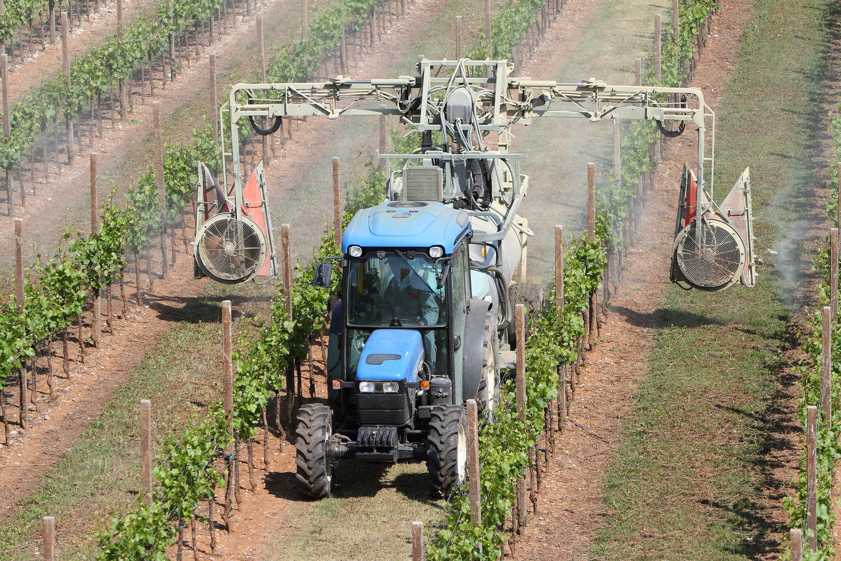 insetticidi, agricoltura, pesticidi