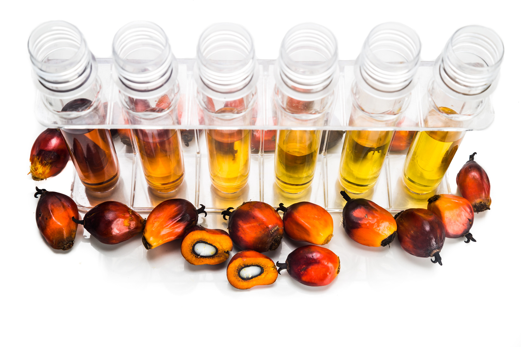 Oil palm biofuel biodiesel with test tubes on white background