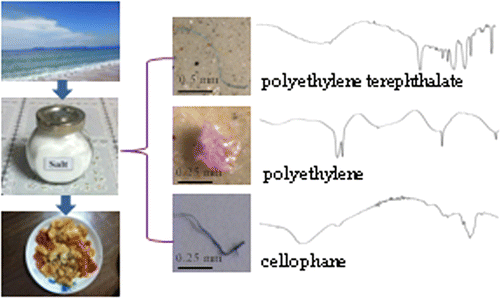 microplastiche 2015 pubs