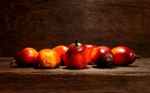 A group of fresh and ripe oil palm fruits on table