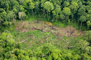 Rain forest destruction in Thailand form Aerial view