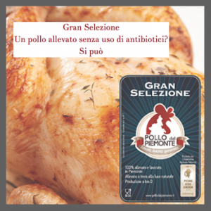 pollo del piemonte gran selezione 2016