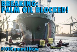 greenpeace rotterdam ioi olio di palma