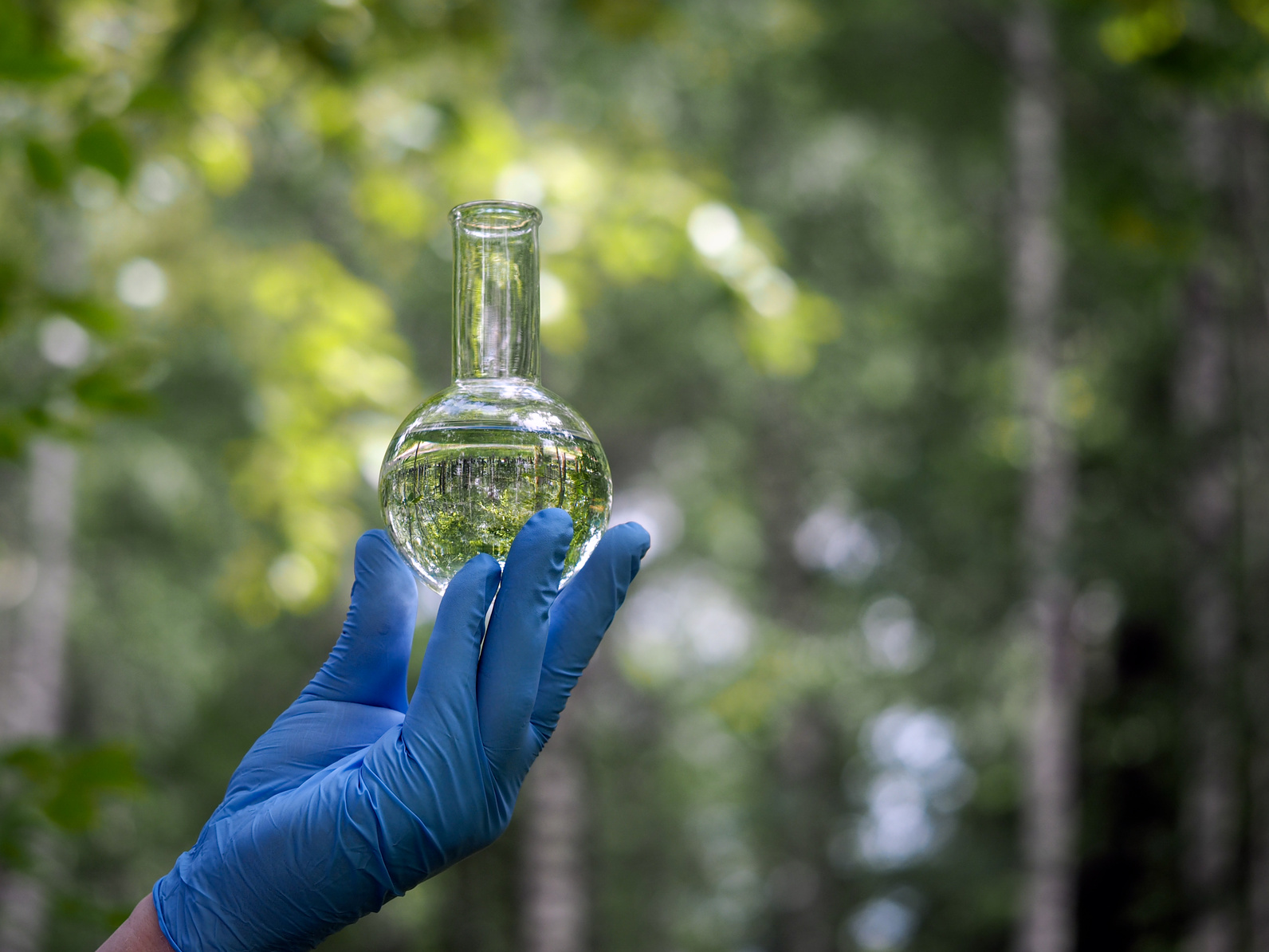 Hands in gloves hold a retort with a transparent liquid. Natural background - grass, trees. In retort water, forests reflection. Concept - clean water, water quality, ecology, environment