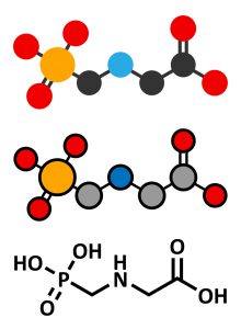 glifosato erbicida Efsa