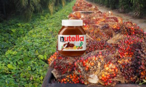 nutella ferrero olio di palma 2016