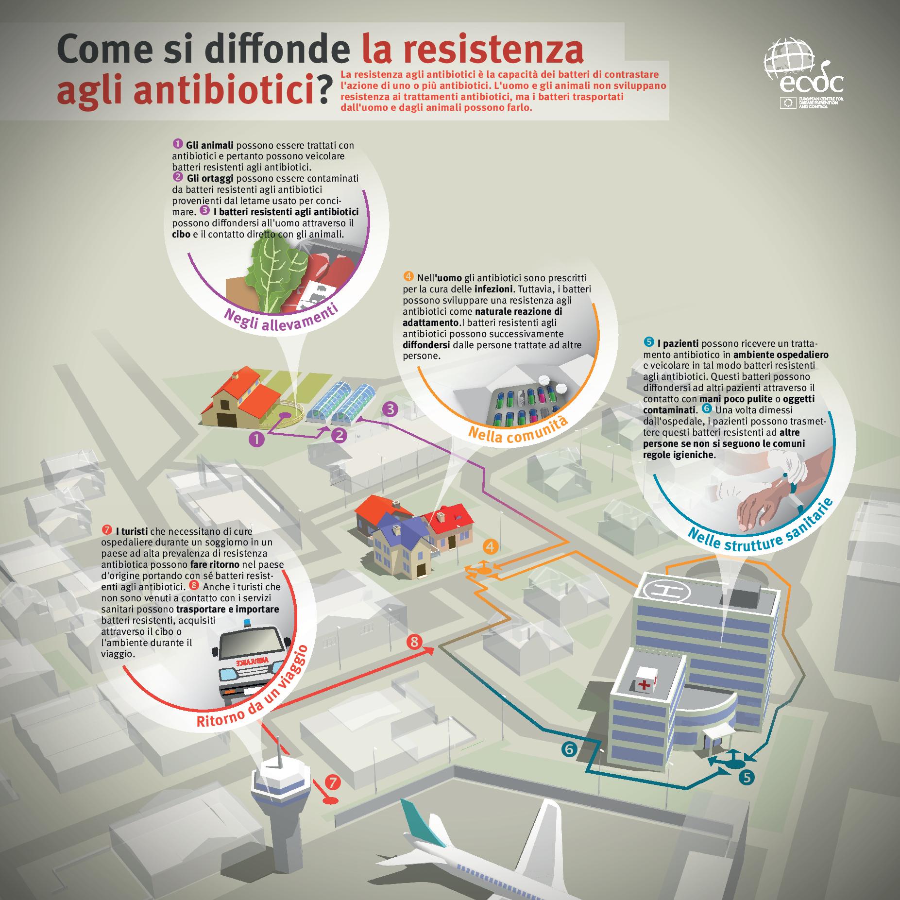 resistenza agli antibiotici infografica ecdc