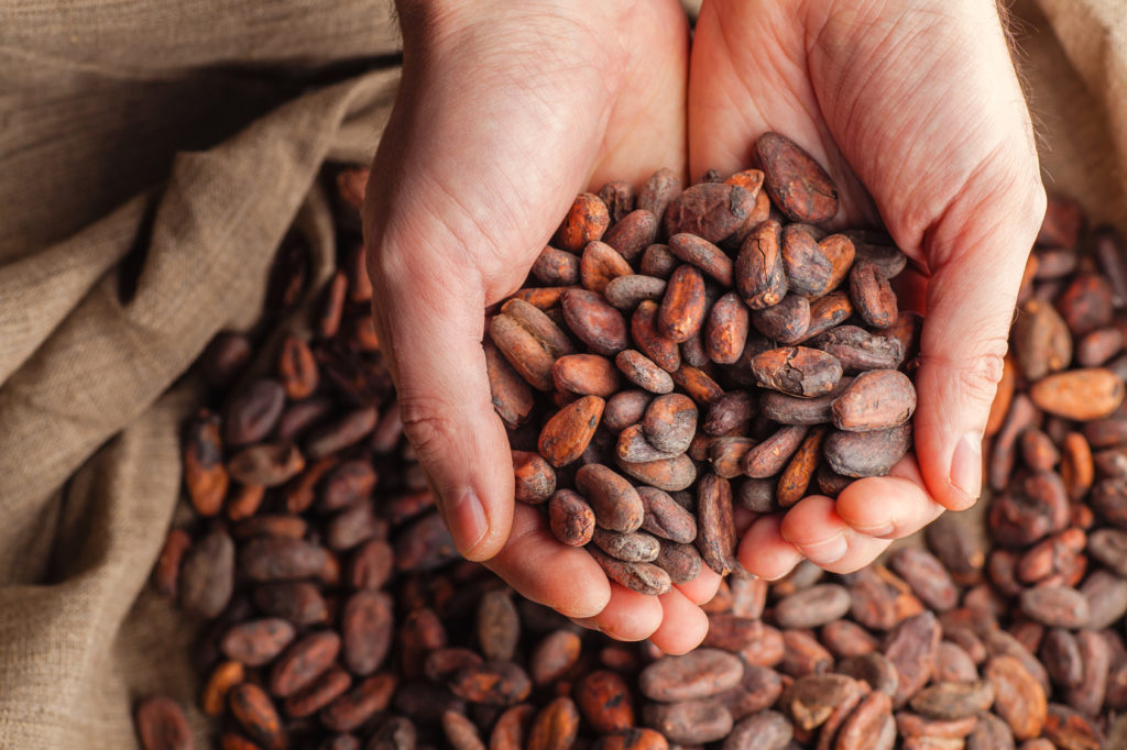 cacao semi sacco mani